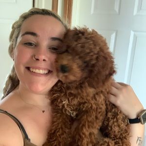 Meet your Posher, Riley